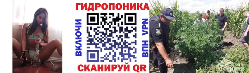 Цена Пушкино ГАШИШ  Кокаин  СК  МЕГА зеркало  Меф  Канабис  АМФ 